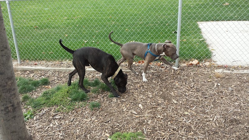 Penny's Memorial Dog Park