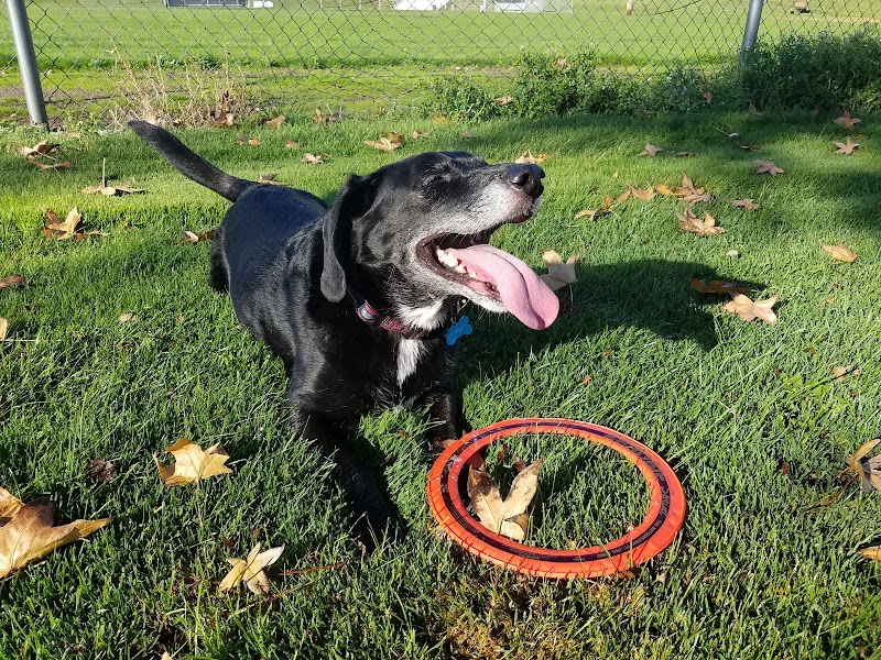 Penny's Memorial Dog Park