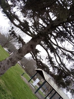 Addison Park