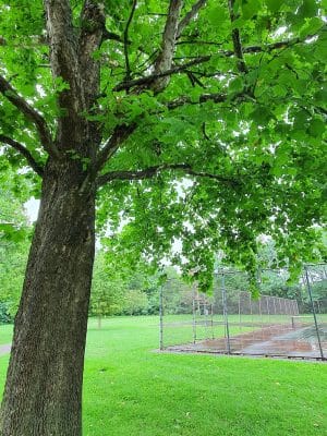 Addison Park