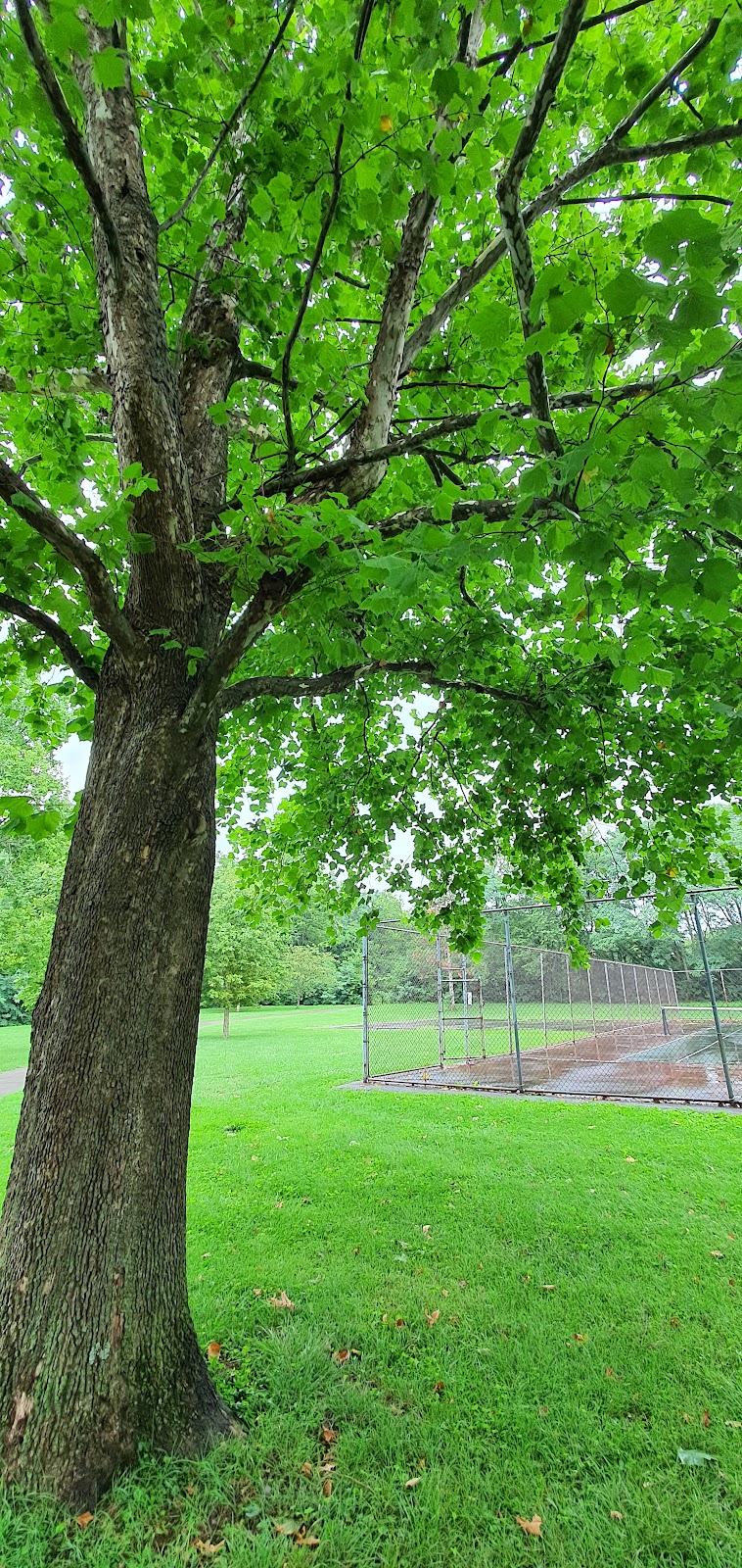 Addison Park - Lexington, KY