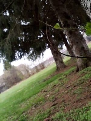 Addison Park