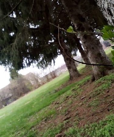 Addison Park