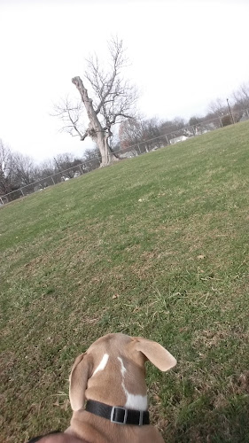 Castlewood Park