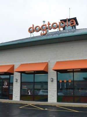 Dogtopia of Lexington