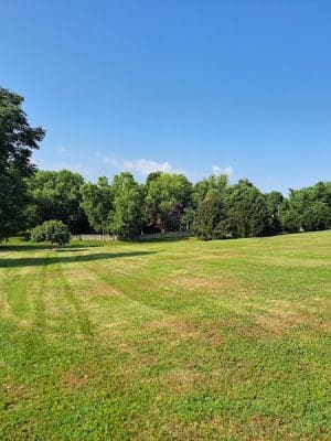 Dogwood Park