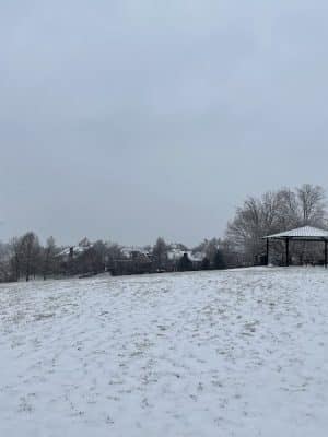 Dogwood Park