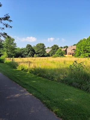 Dogwood Park