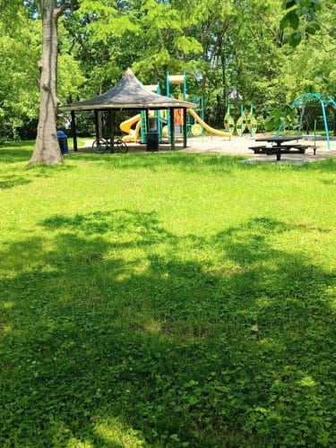 Elizabeth Street Park