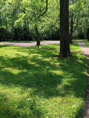 Elizabeth Street Park