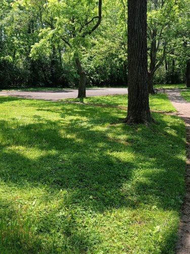 Elizabeth Street Park