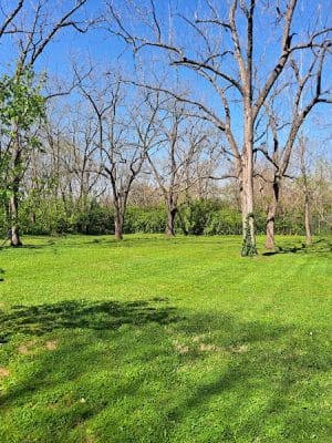 Elizabeth Street Park