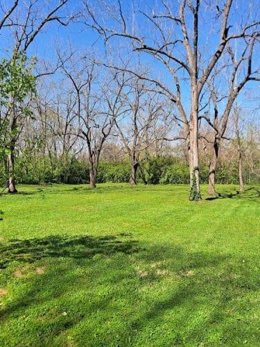 Elizabeth Street Park
