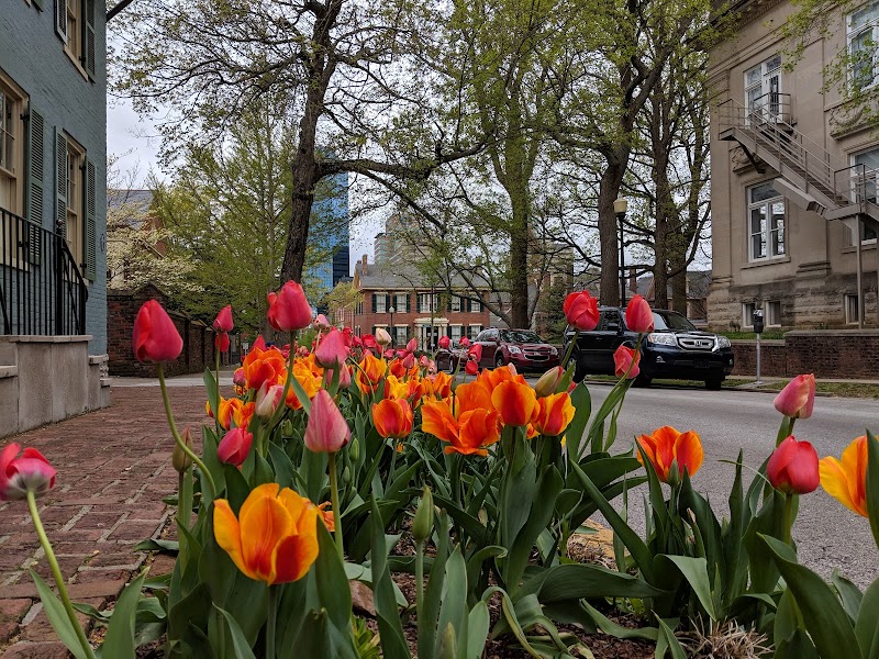 Gratz Park - Lexington, KY