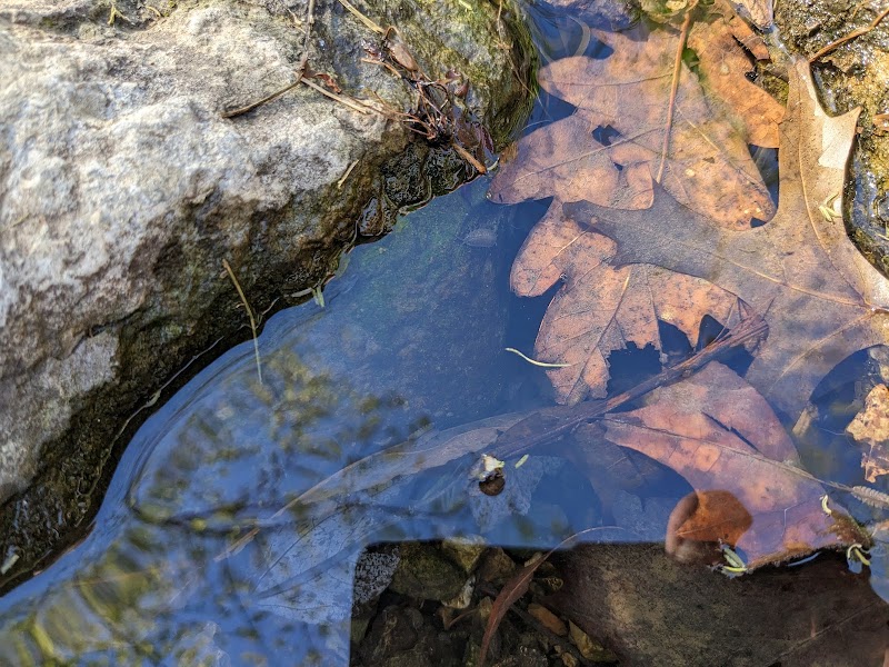 Hill N Dale Park - Lexington, KY