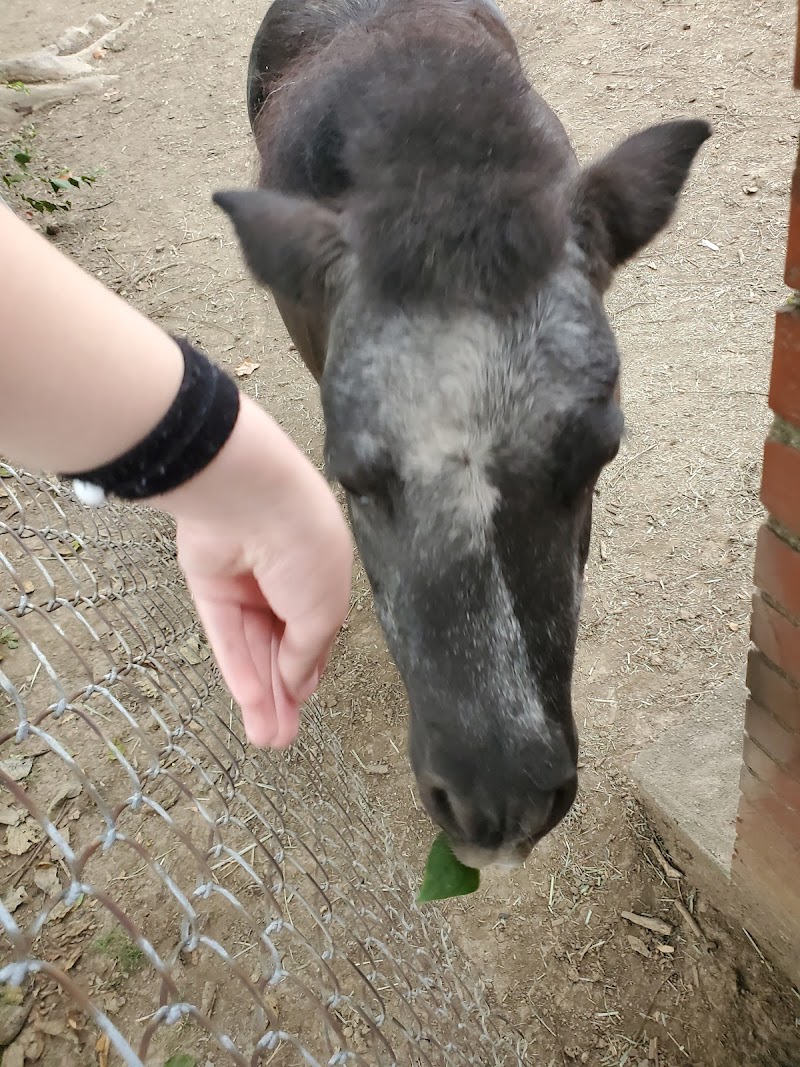 Hill N Dale Park - Lexington, KY
