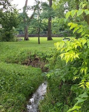 Hill N Dale Park