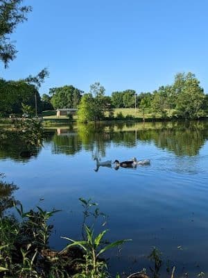 Jacobson Park