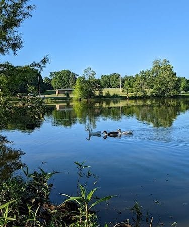 Jacobson Park