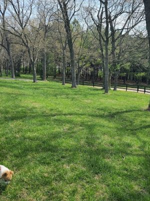 Jacobson Park