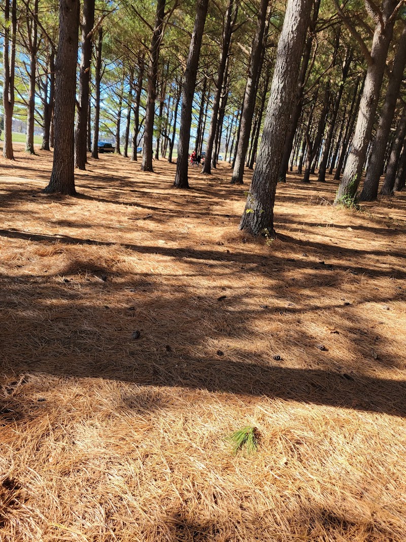 Jacobson Park - Lexington, KY