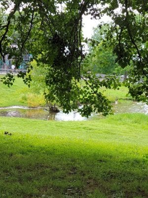 Jacobson Park