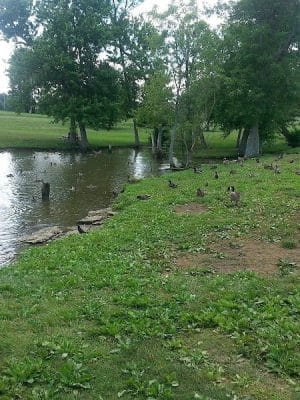 Jacobson Park
