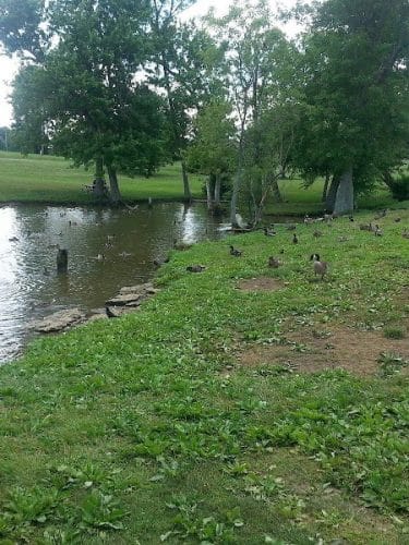 Jacobson Park
