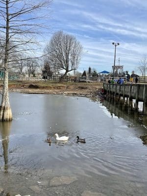 Jacobson Park