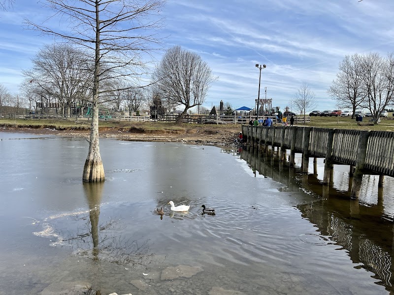 Jacobson Park - Lexington, KY