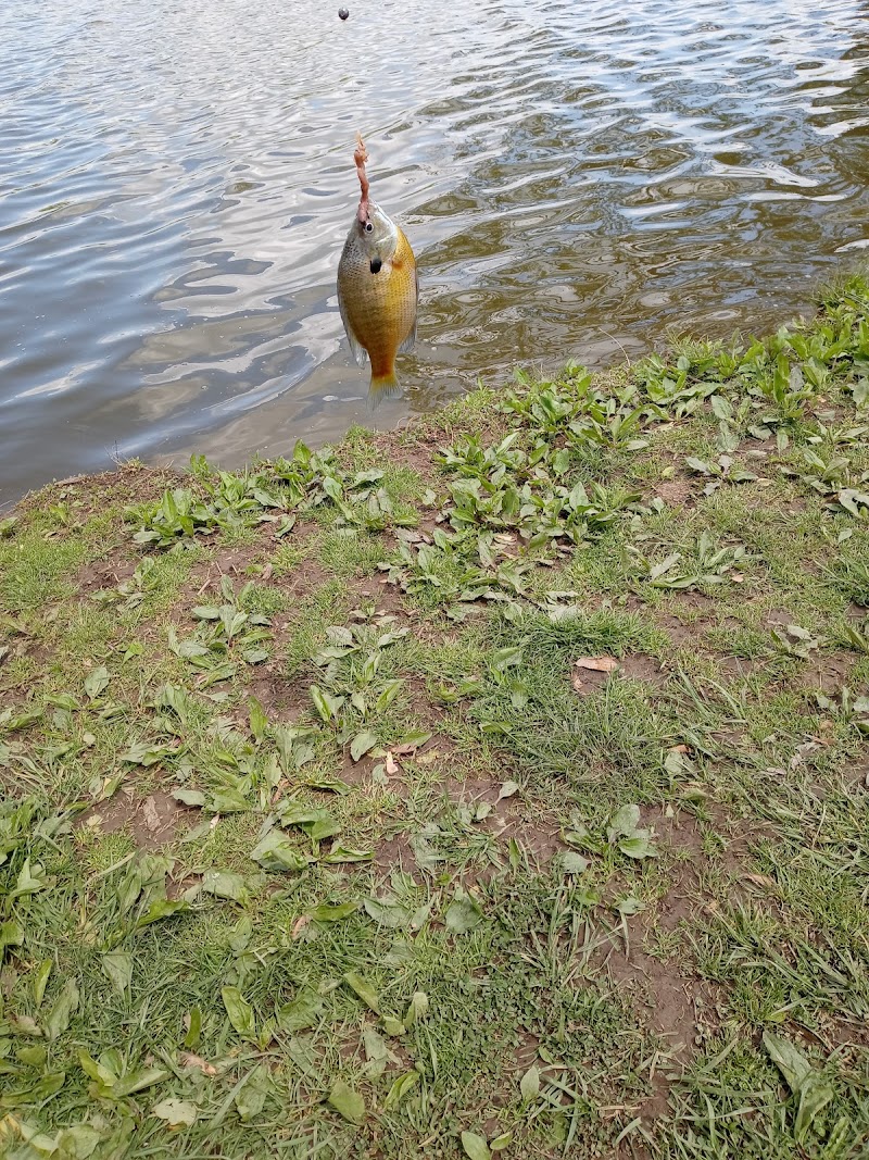 Jacobson Park - Lexington, KY