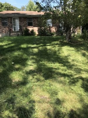 Kenawood Park