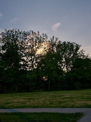 Masterson Hills Park
