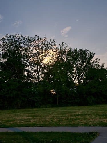 Masterson Hills Park