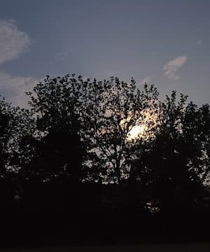 Masterson Hills Park