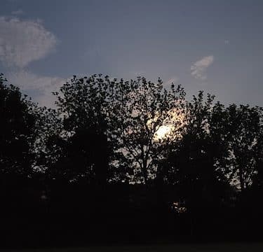 Masterson Hills Park