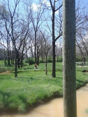 Masterson Hills Park