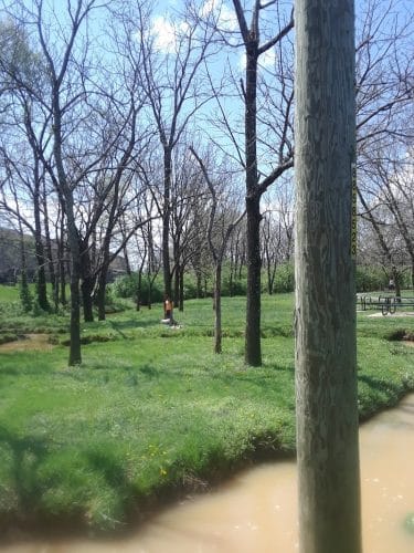 Masterson Hills Park