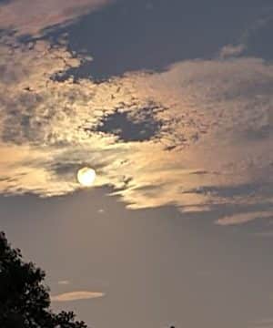 Masterson Hills Park