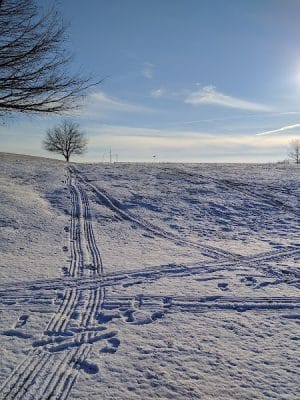Masterson Station Park