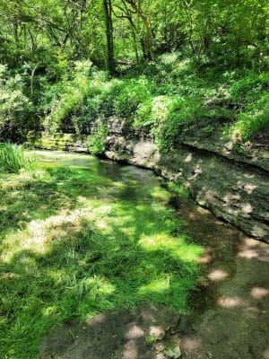 McConnell Springs Park