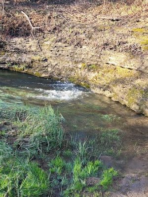 McConnell Springs Park