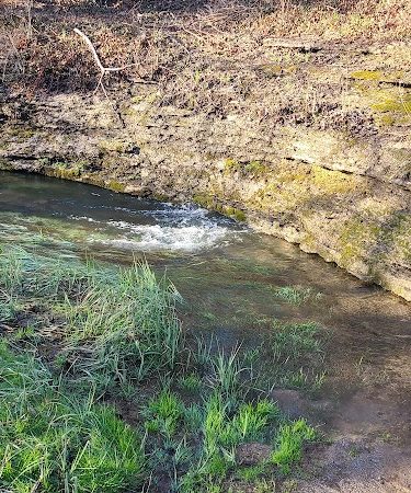 McConnell Springs Park