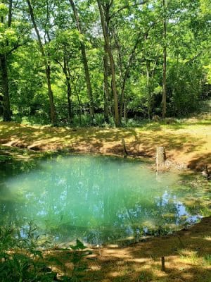McConnell Springs Park