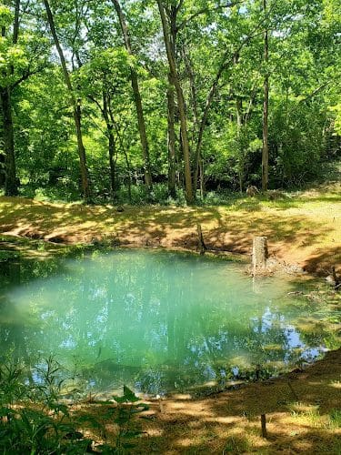 McConnell Springs Park
