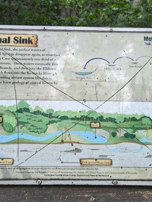McConnell Springs Park