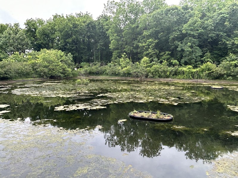 McConnell Springs Park - Lexington, KY