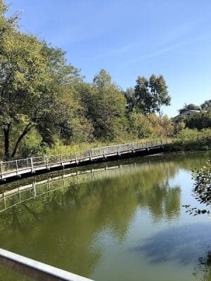 McConnell Springs Park