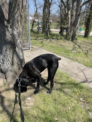 Meadowbrook Park