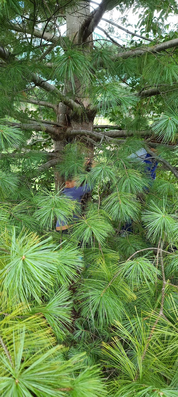Pleasant Ridge Park - Lexington, KY